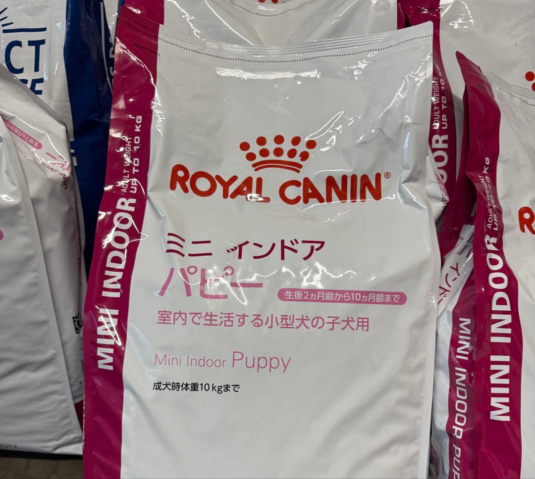 ロイヤルカナン ミニインドアパピー 10kg 在庫ラスト - メルカリ