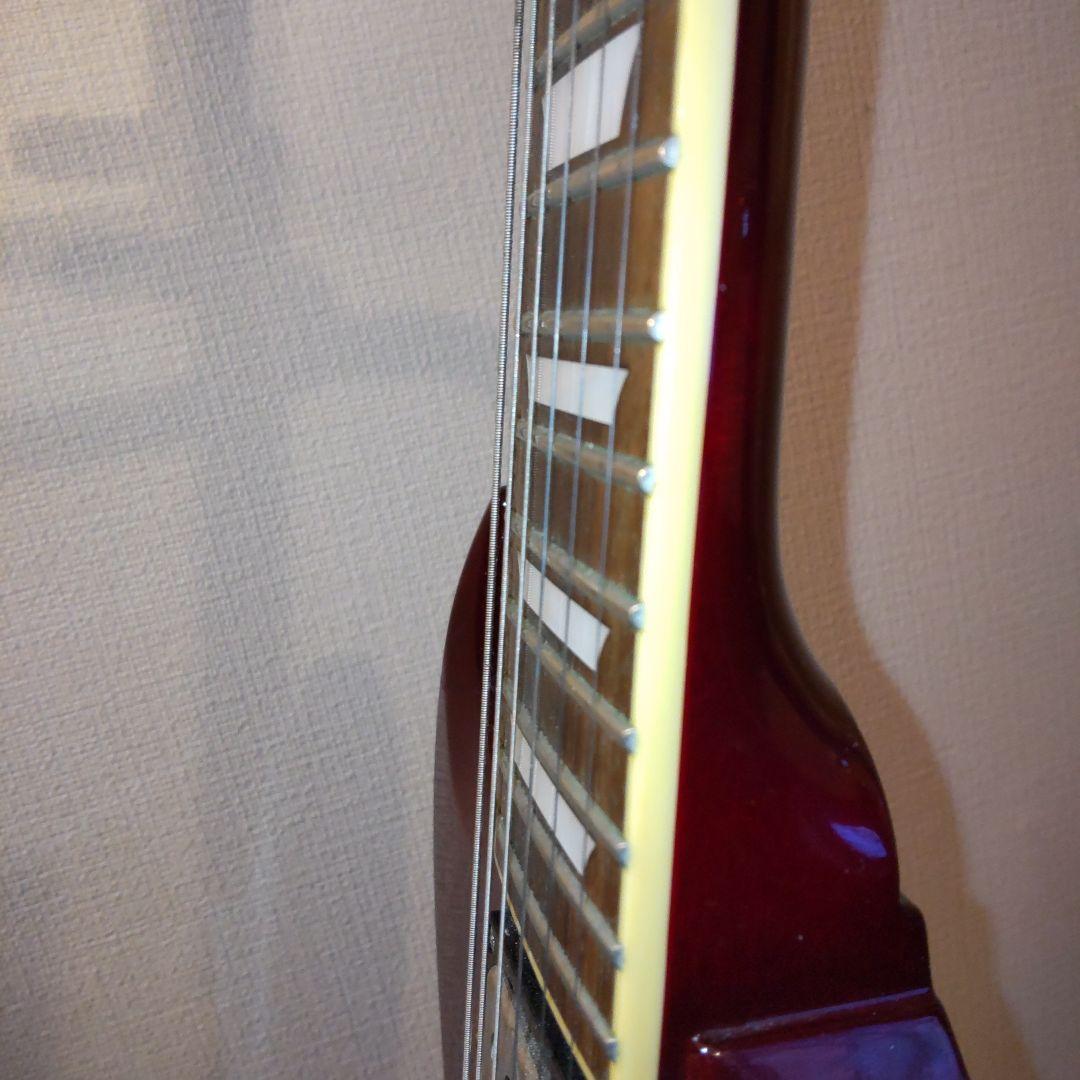 エドワーズSG　ED1328570