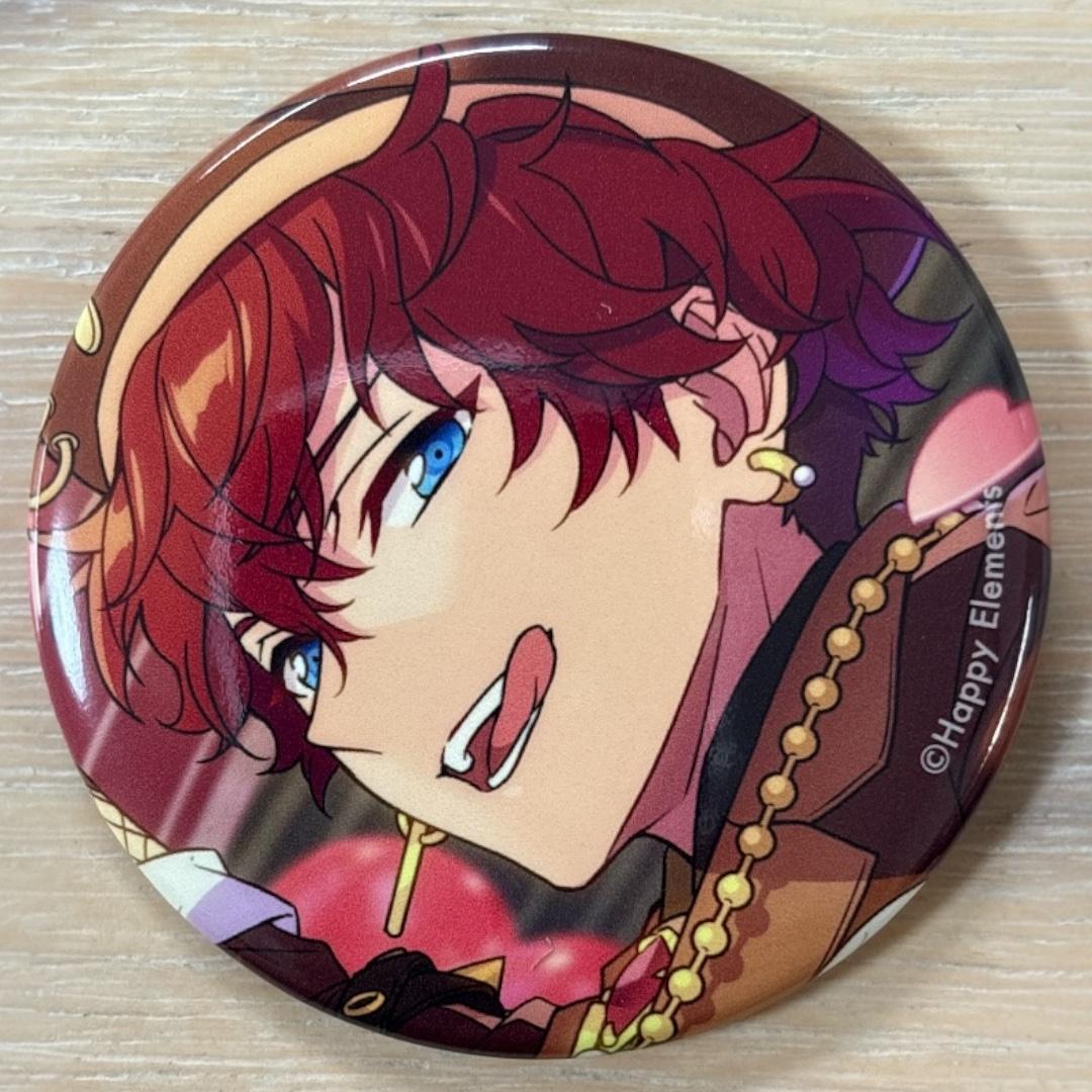 天城一彩 あんスタ コレクション 缶バッジ 2025 Feb Idol 20個 天城一彩