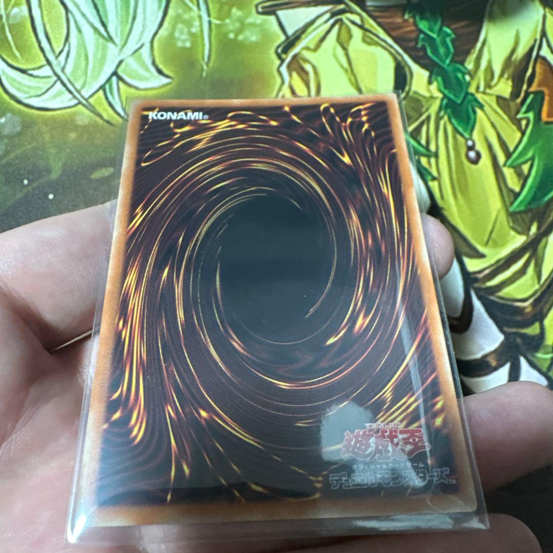 青眼の白龍 BLUEEYES WHITEDRAGON プリシク　アニクロ　英語