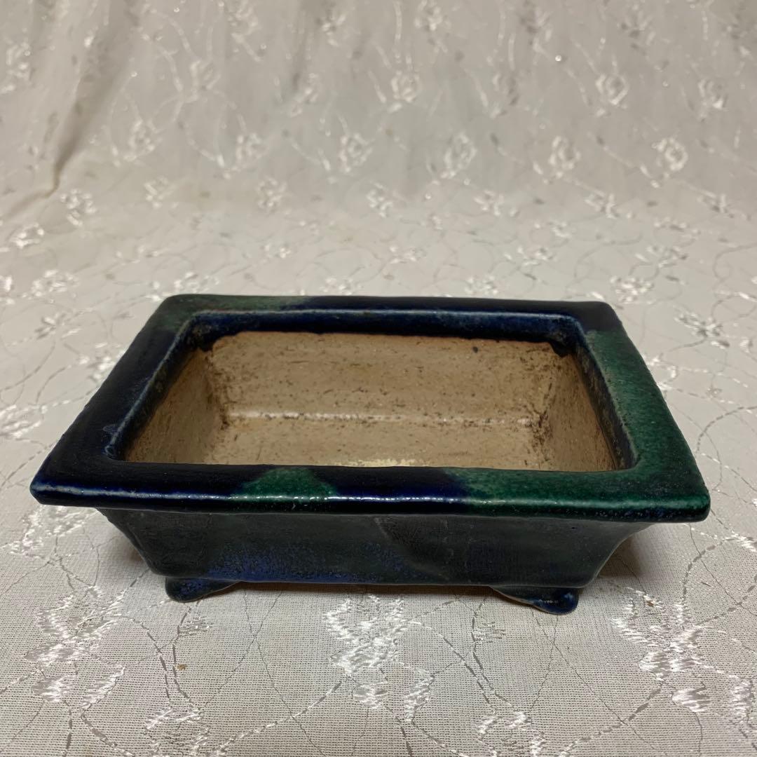 樹晃　長方　盆栽鉢