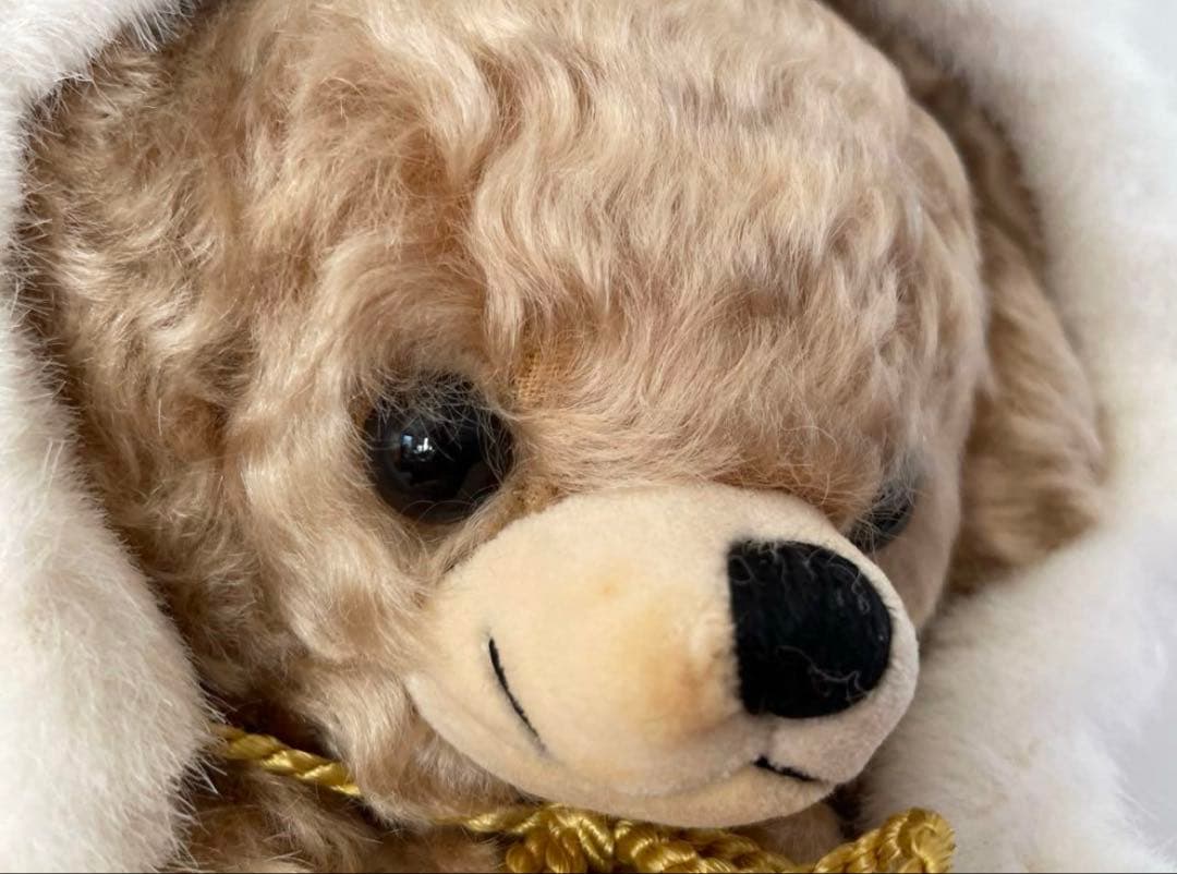 朧月夜さま専用　チーキー