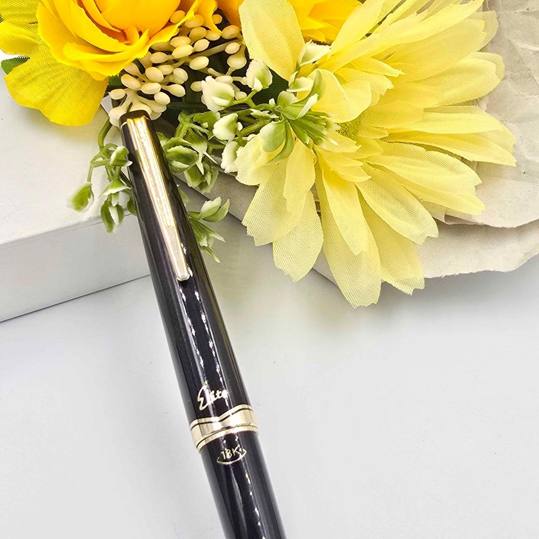 PILOT パイロットElite エリート 18K-750 ニブ 筆記未確認 - メルカリ