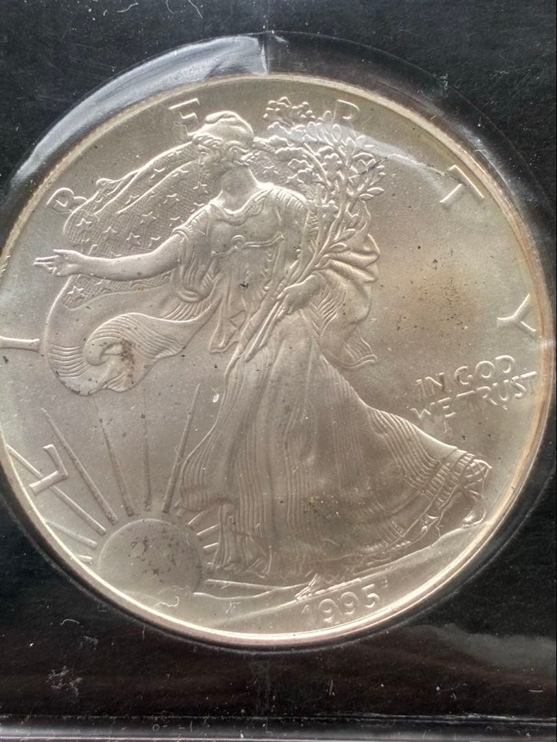 1995年 アメリカ　シルバーイーグル 1ドル銀貨 フランクリンミント社 