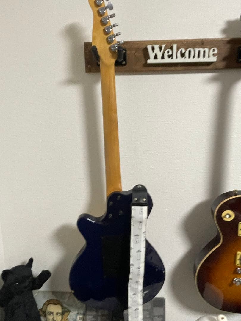 godin SD24 レア物 - メルカリ