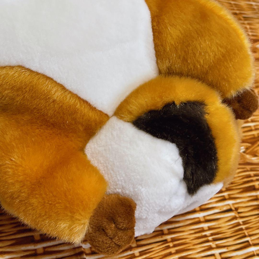 あらいぐま ラスカル おねむりラスカル 大きな ぬいぐるみ セキグチ BIG