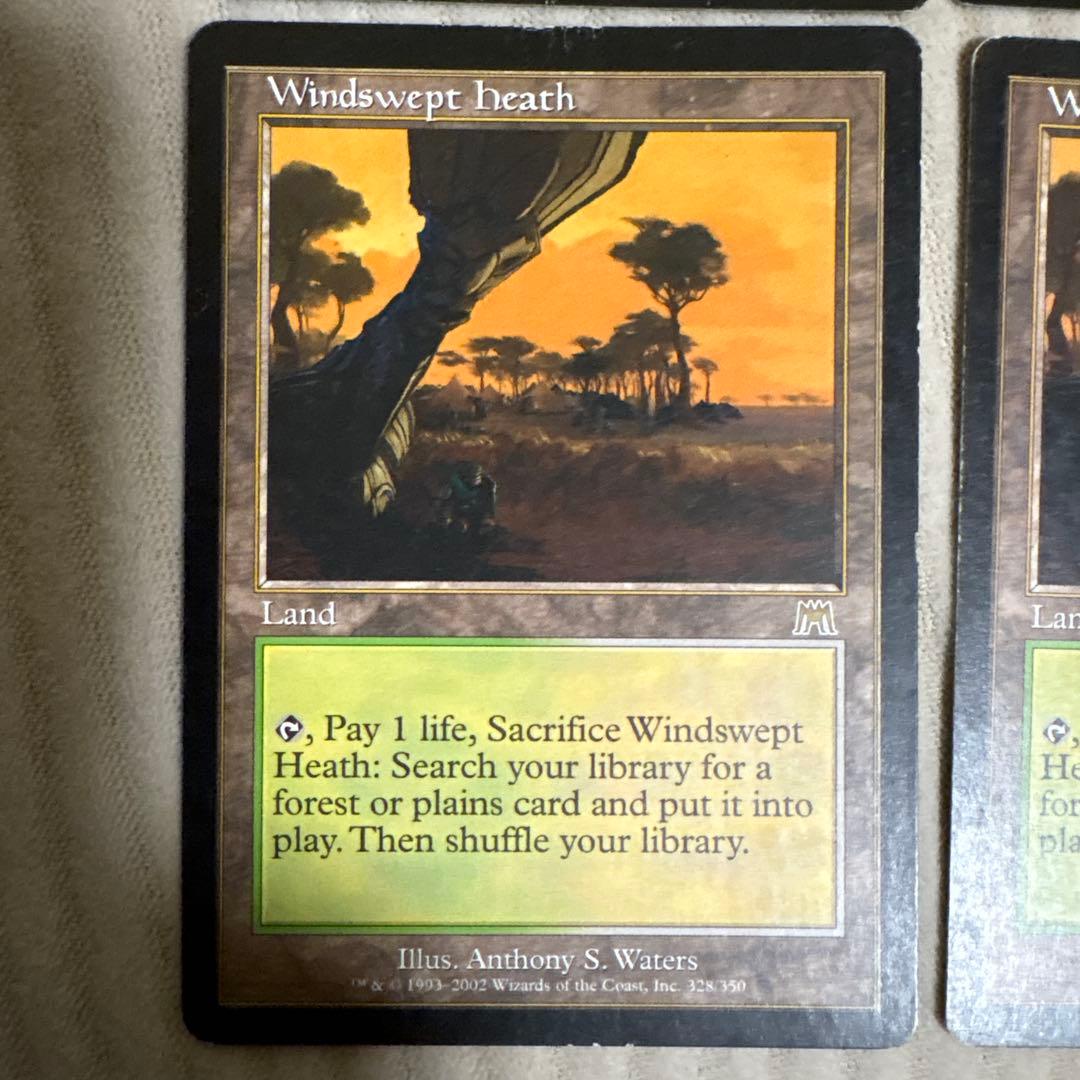 MTG 吹きさらしの荒野 4枚セット