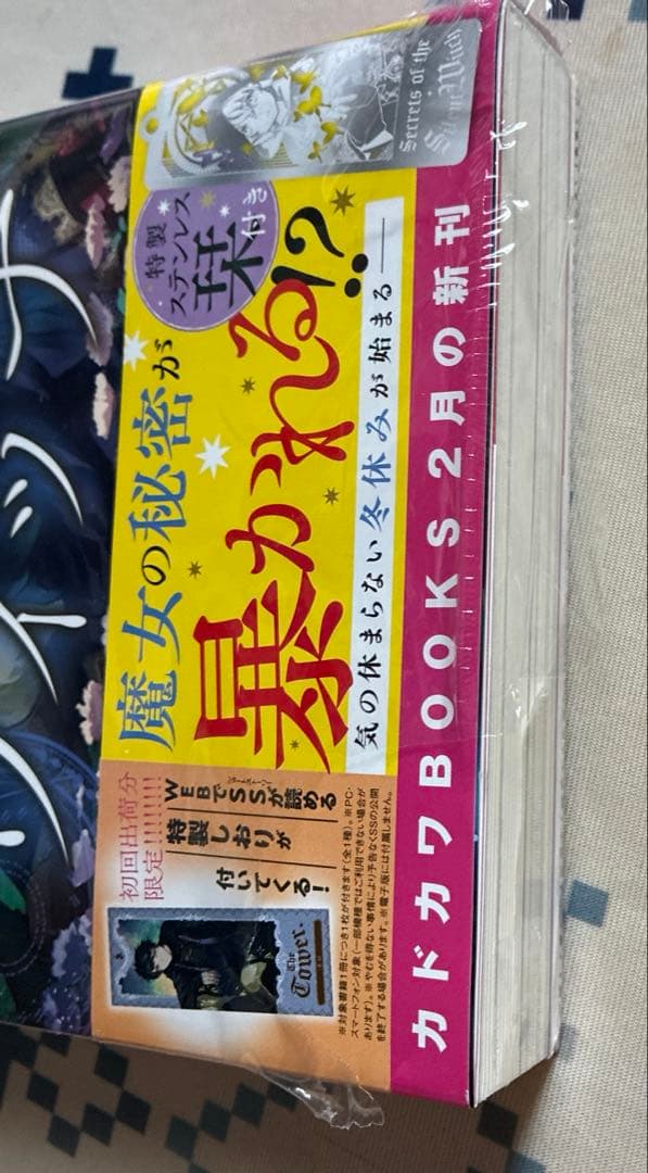 サイレント・ウィッチ 沈黙の魔女の隠しごと 5巻 特装版 ステンレス