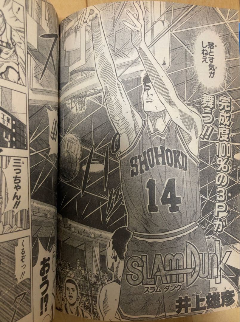 週刊少年ジャンプ　1995年24、25号 【最終回予告&最終回】ドラゴンボール