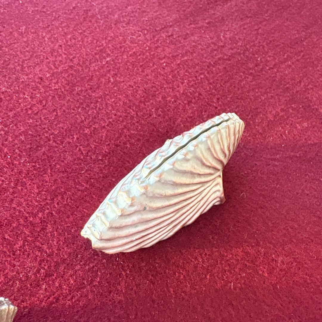 Atelier Junko シェル型カードスタンド 4個セット