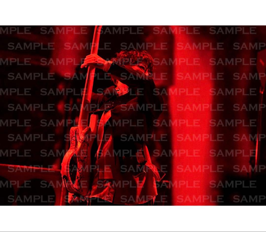 ラルク フォトブック ライヴ写真集 ラルクアンシエル L'Arc-en-Ciel