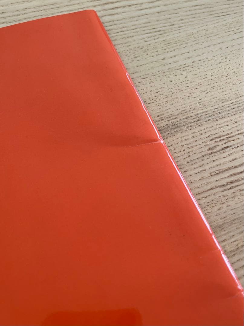 ☆希少☆ 舞台 夜は短し歩けよ乙女 パンフレット 森見登美彦 田中美保