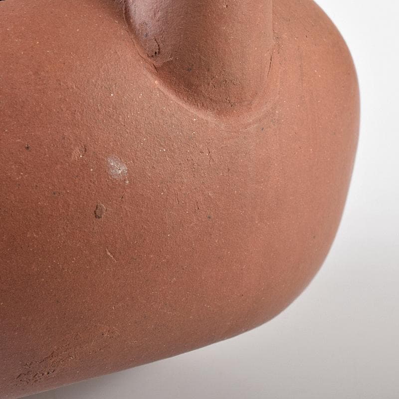 中国 花間伴咏月下侶吟 紫砂 朱泥 急須 茶壷 M