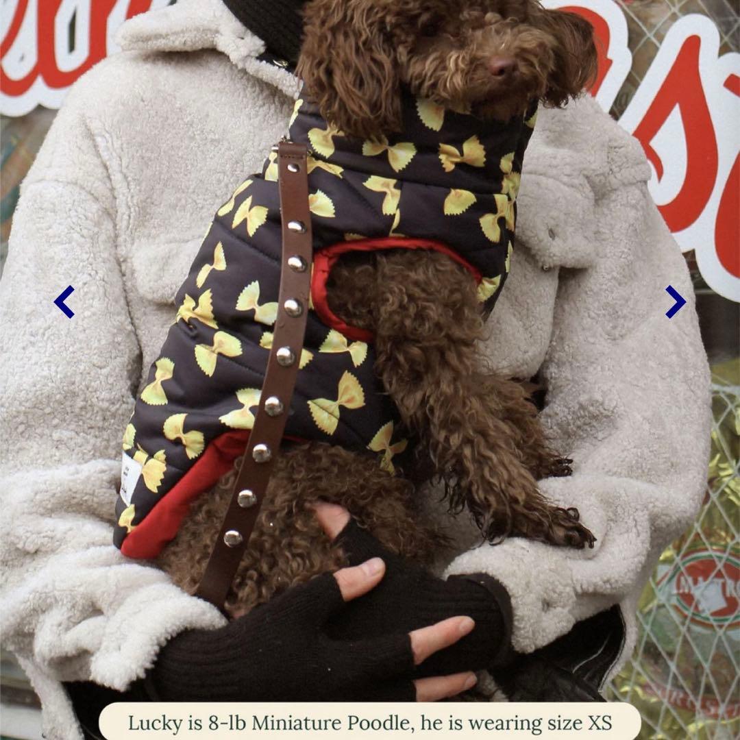 little beast パスタ柄犬用コート クラシック