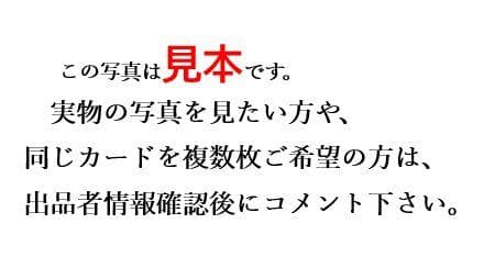 ボマー・ドラゴン　ノーパラ　整理番号、4359-3