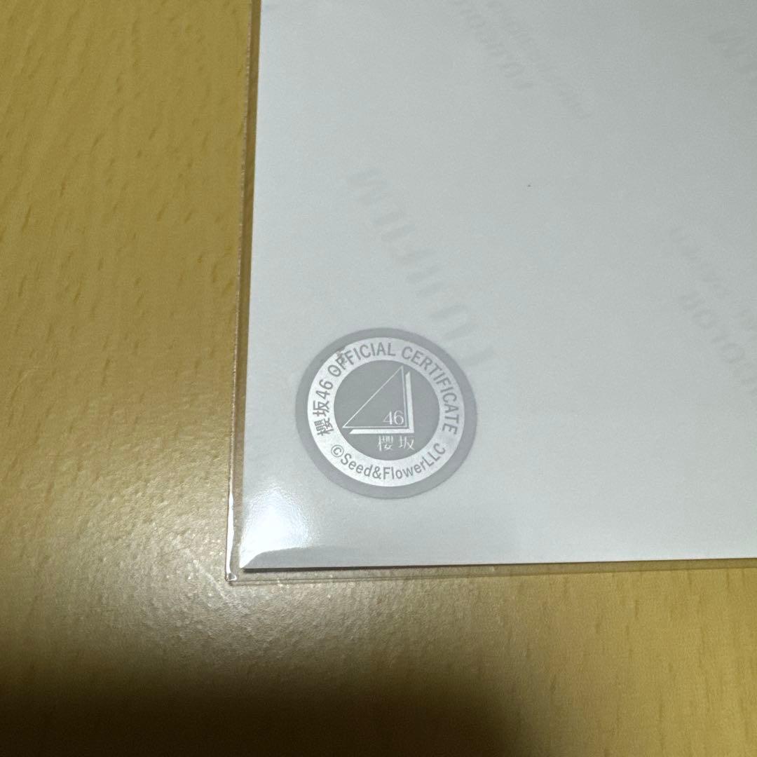 櫻坂46 松本和子 【 2025年 サンタ衣装（直筆サイン入り）】 座り 1枚