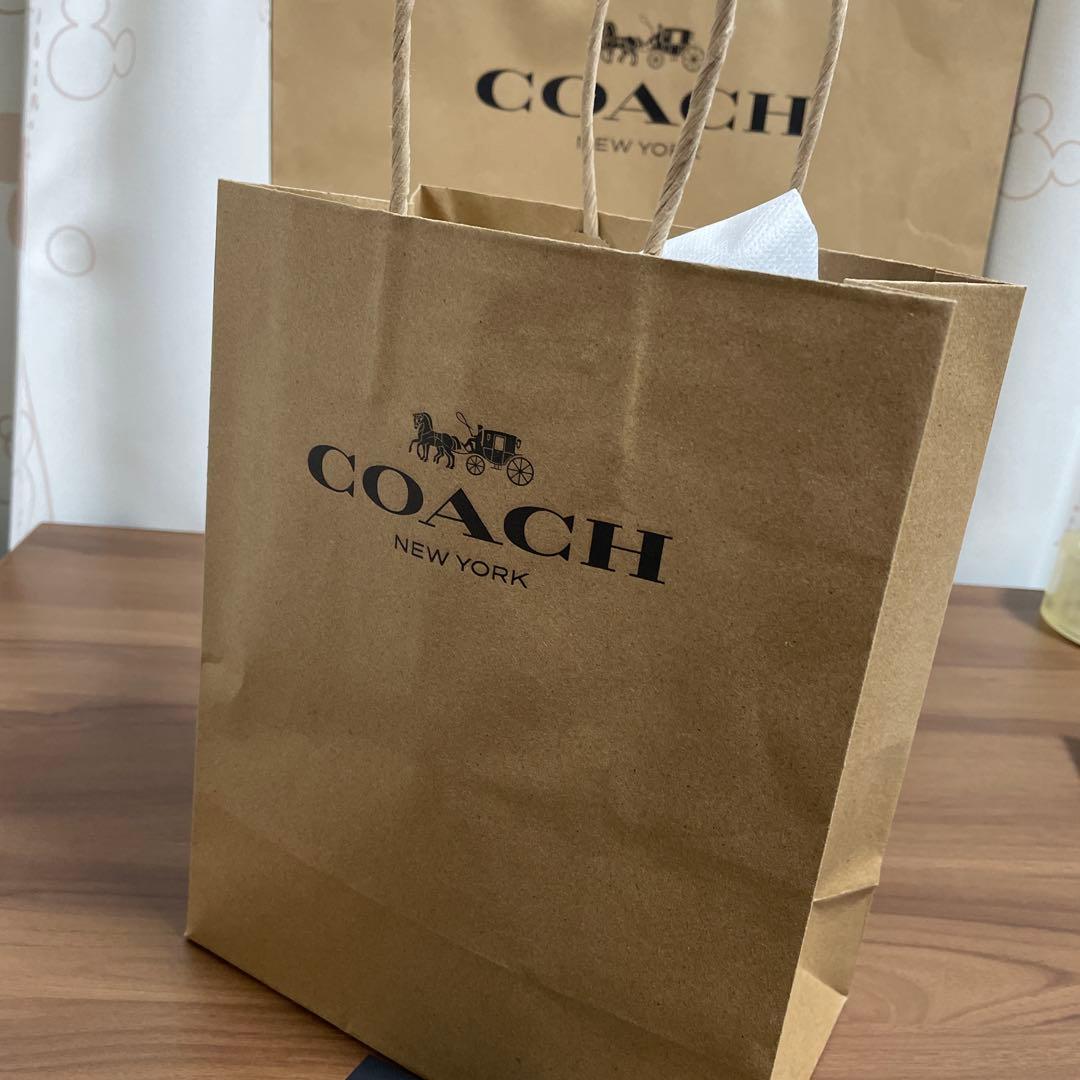 新品未使用】COACHコーチ☆ニット帽・ビーニー☆ディノプリント 人気