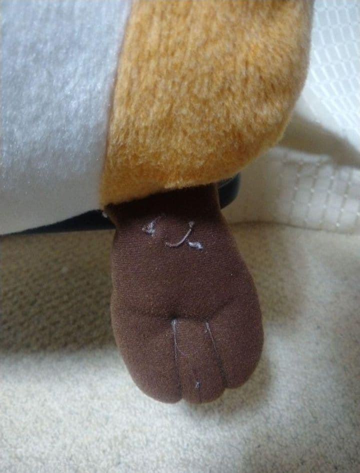 三井住友海上あいおい生命 ラスカル ぬいぐるみSekiguchi