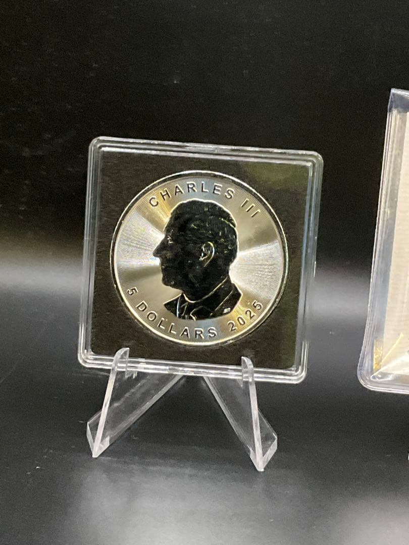 2025年カナダ ステンドグラス風 フェアリー（妖精） 1オンス カラー