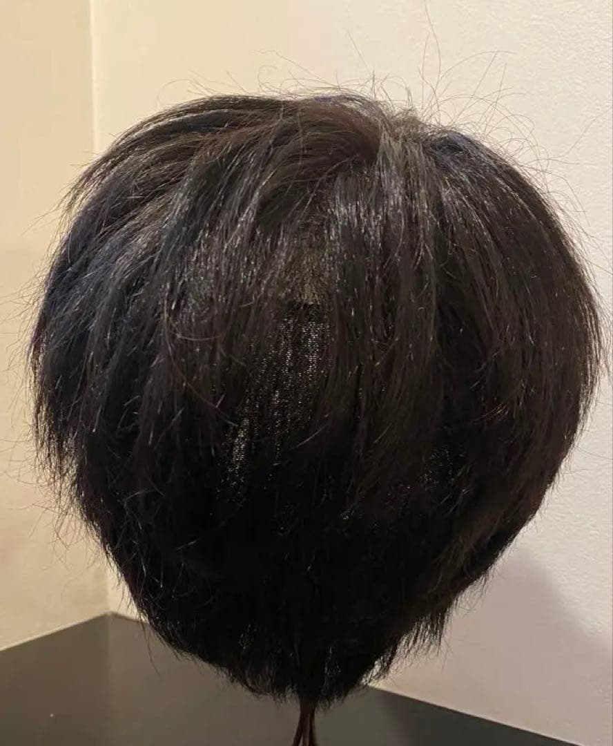 スベンソン医療用ウィッグ人毛　メンズ・レディース&フレッシュヴェール