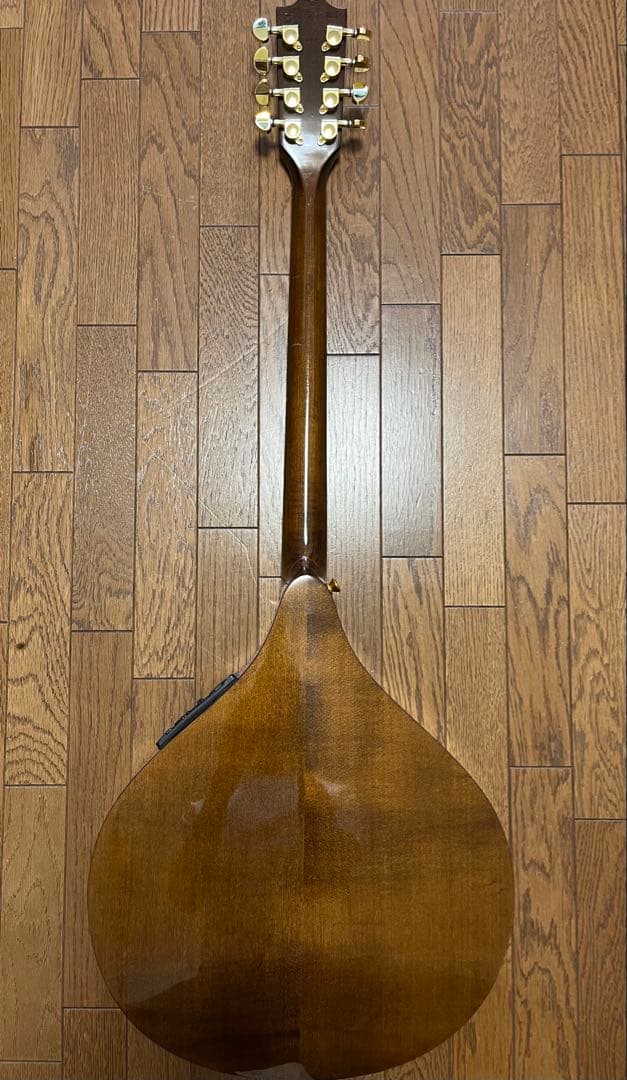 HORA ブズーキ8弦 左用　ピックアップ　トーンコントロール付き