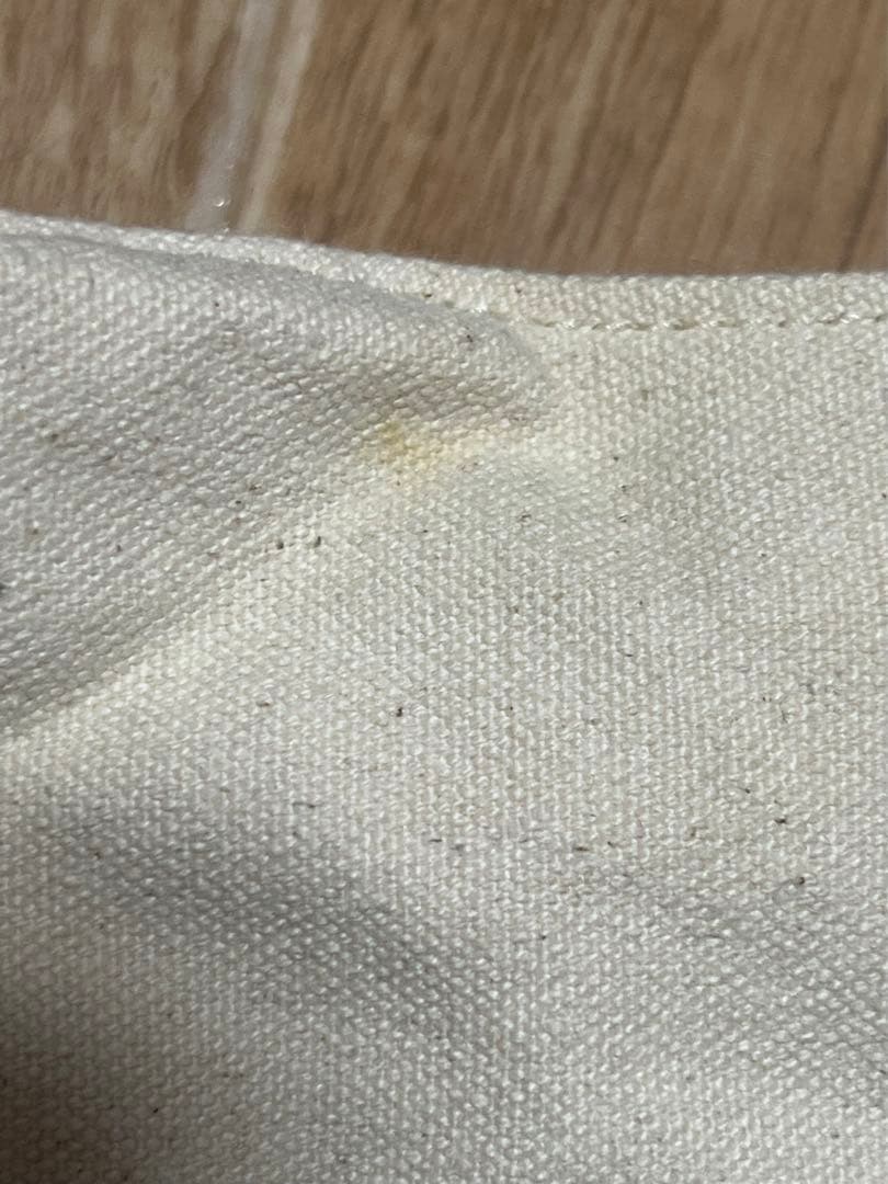 ディズニーシー Disney SEA オープニング オープン バッグ 超レア