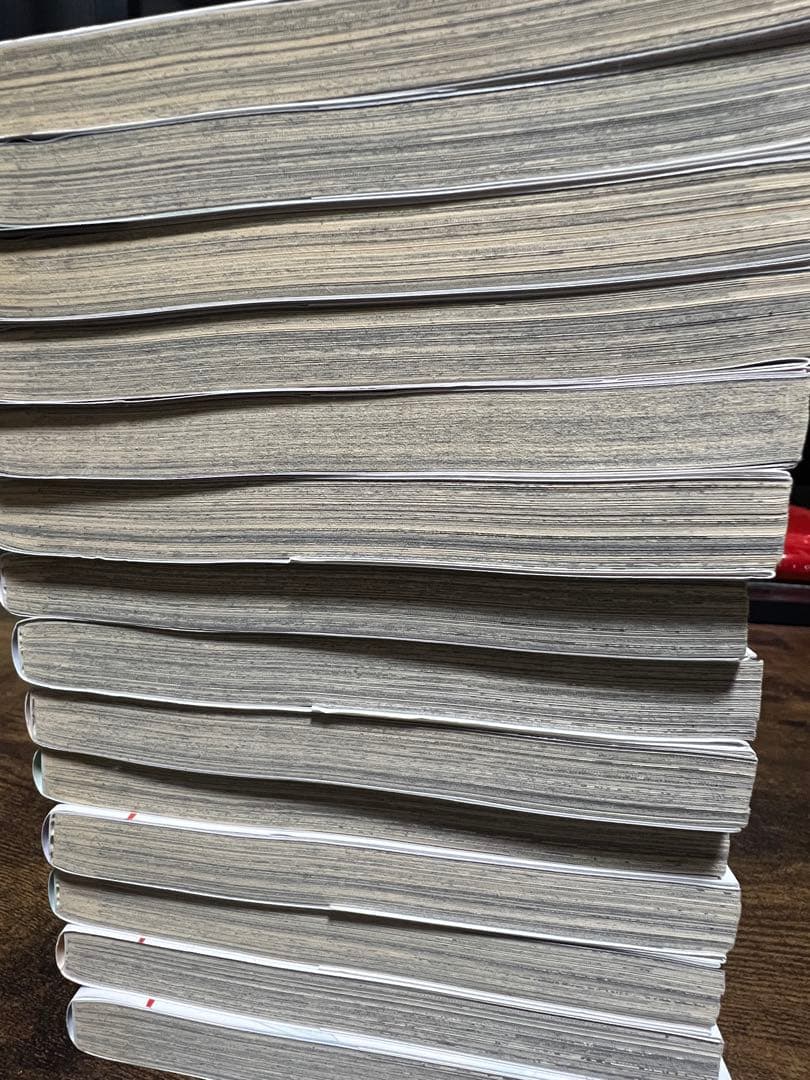 新機動戦記ガンダムＷ Endless Waltz 敗者たちの栄光 全14巻セット