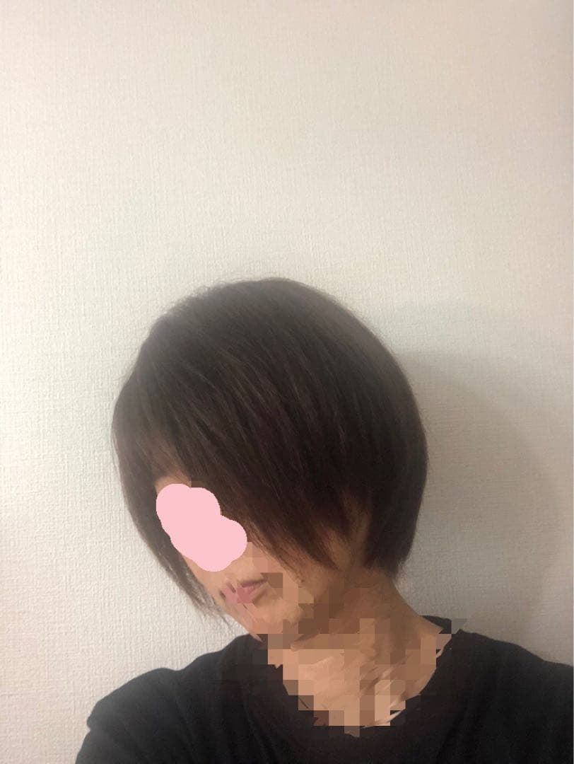 人気の　人毛ショートウィッグ ブラウン系　未使用