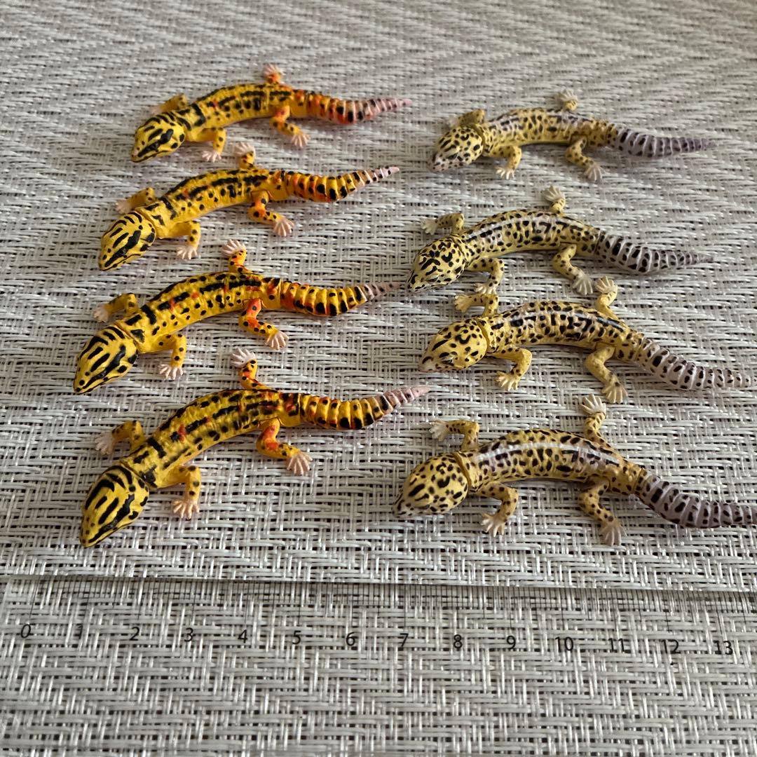 ヒョウモントカゲモドキのフィギュア 8匹 - メルカリ