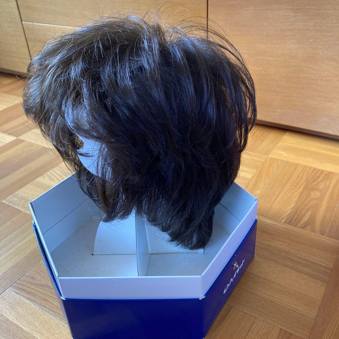 定価16万円以上　ハイネットウィッグ