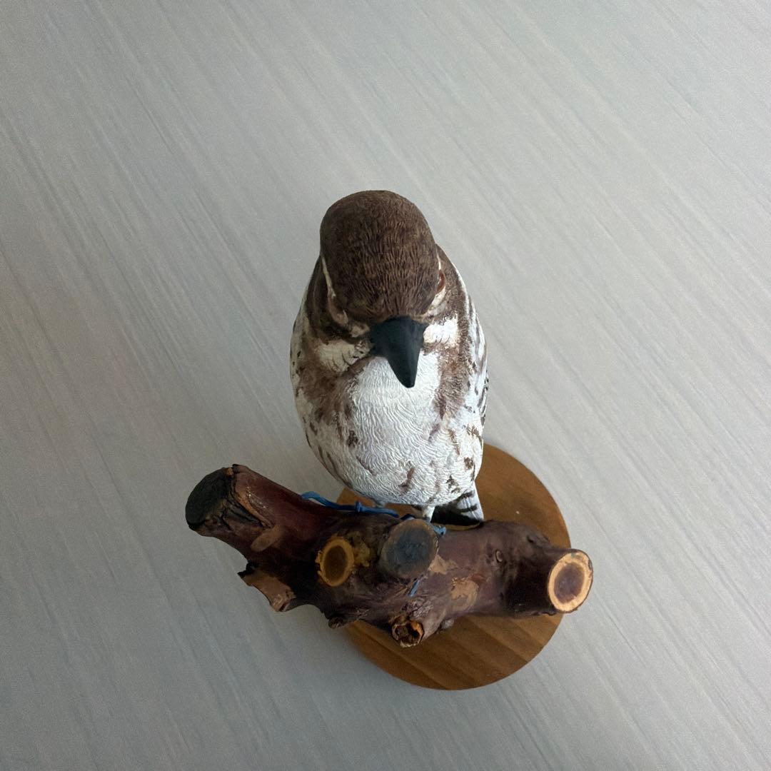 リアル 「コゲラ」 バードカービング 野鳥彫刻 木彫りの野鳥 木彫りの