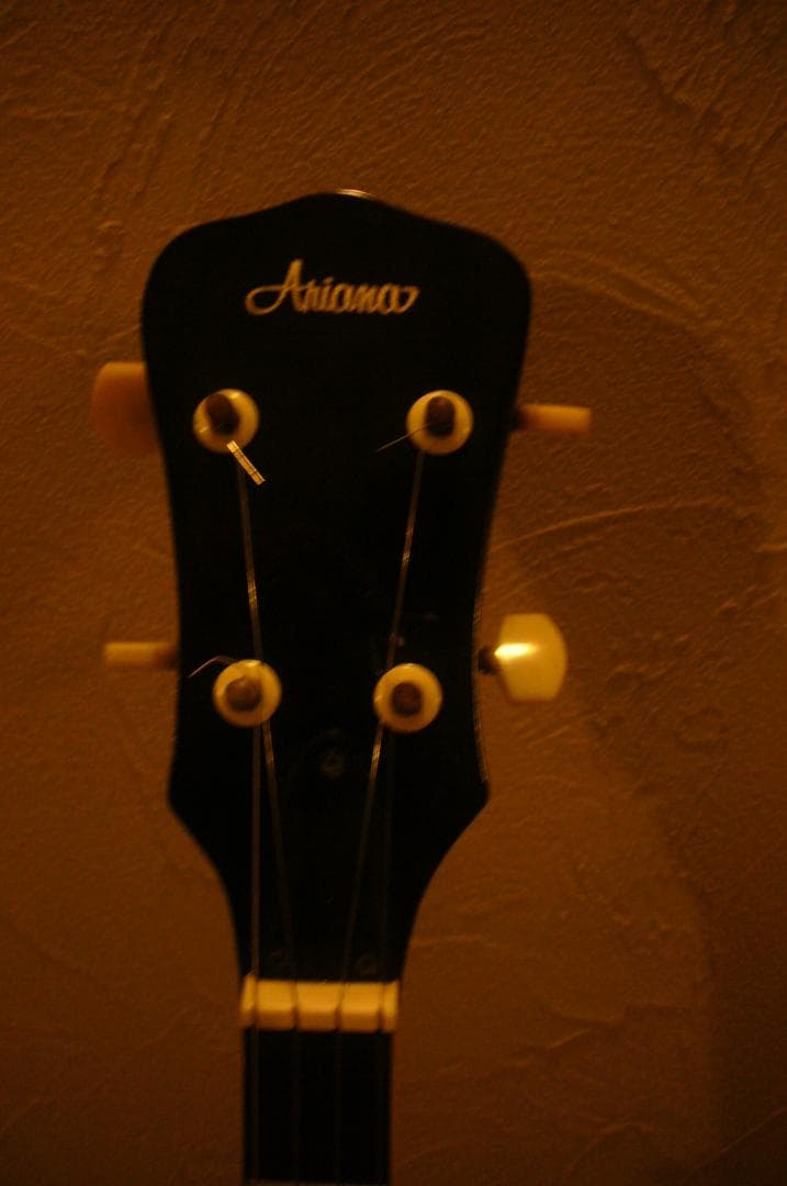 Ariana５弦バンジョー