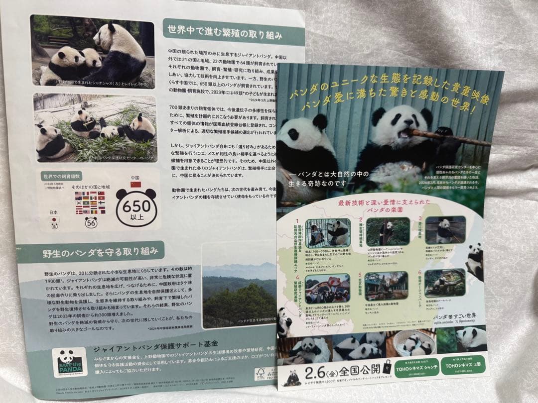 ありがとうシャオシャオレイレイ！タンブラー、ファイル、ステッカー他セットおまけ付