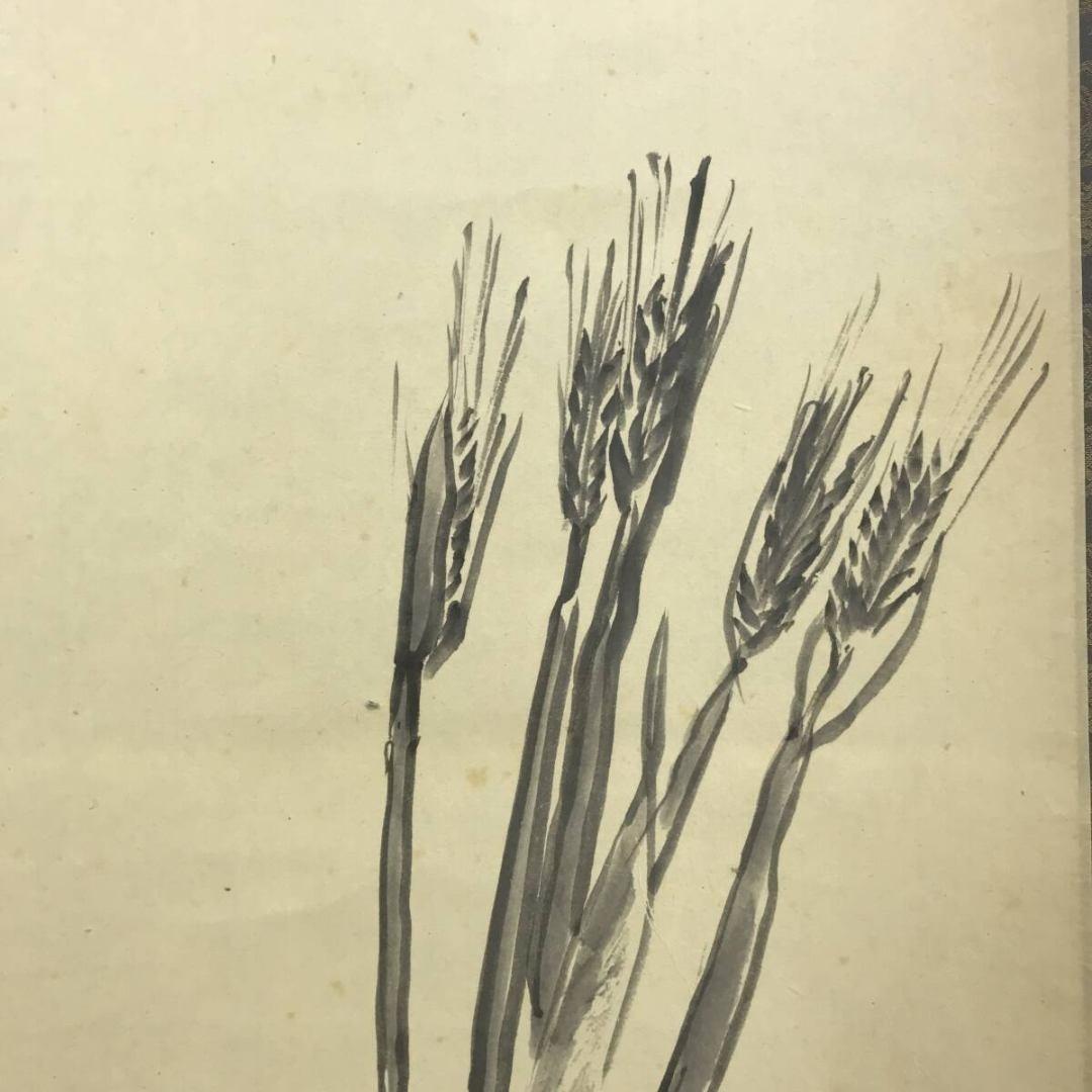 真作/大徳寺/紫野/山口大痴/宗秀/麦画賛/初夏の掛軸/名家