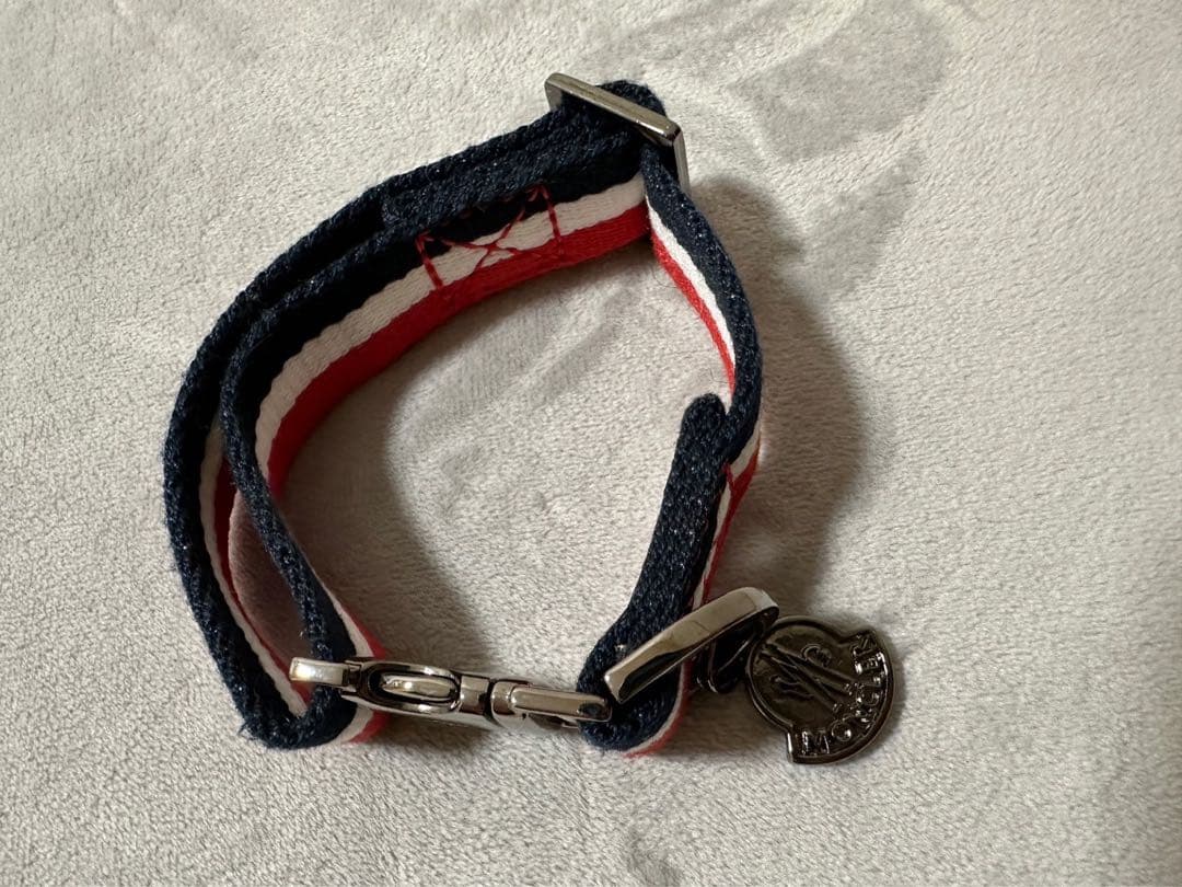 Moncler introduces the Poldo Dog Couture - nss magazine Moncler