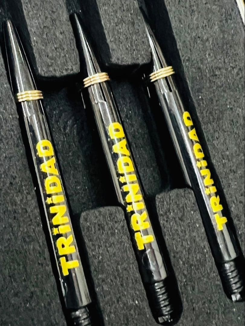 ダーツ バレル 岩田夏海 トリニダード アンディスピューティド ロメロ IWNM