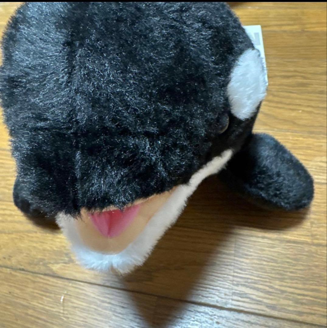 名古屋港水族館 リン シャチ ぬいぐるみ