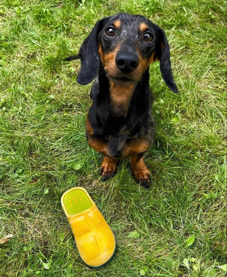 フランスのマクドナルド限定 DOG TOYS - メルカリ