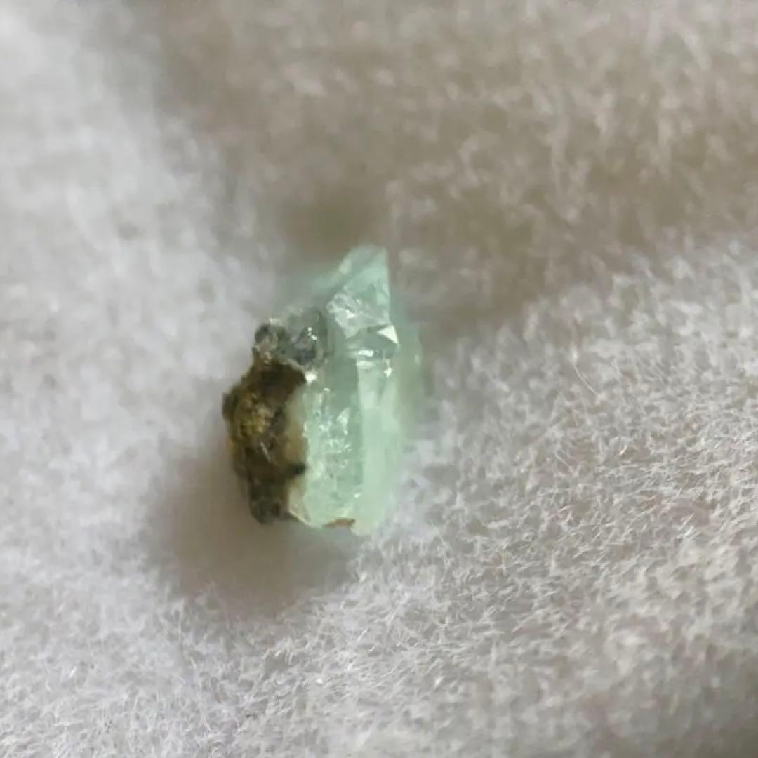 groovisions グルーヴィジョンズ ショップカード GRV2039 グルー