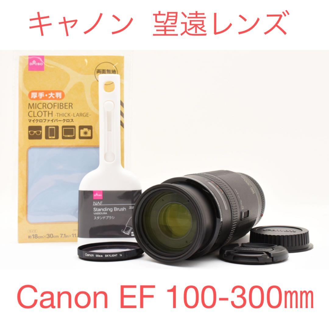 望遠レンズCANON ZOOM LENS EF 100-300mm F5.6 Canon EF 100-300mm f/5.6L Lens Review | ePHOTOzine