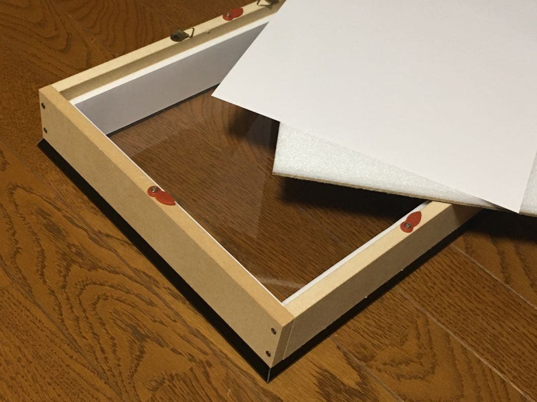 Ooo様専用 標本箱A4サイズ黒枠5点