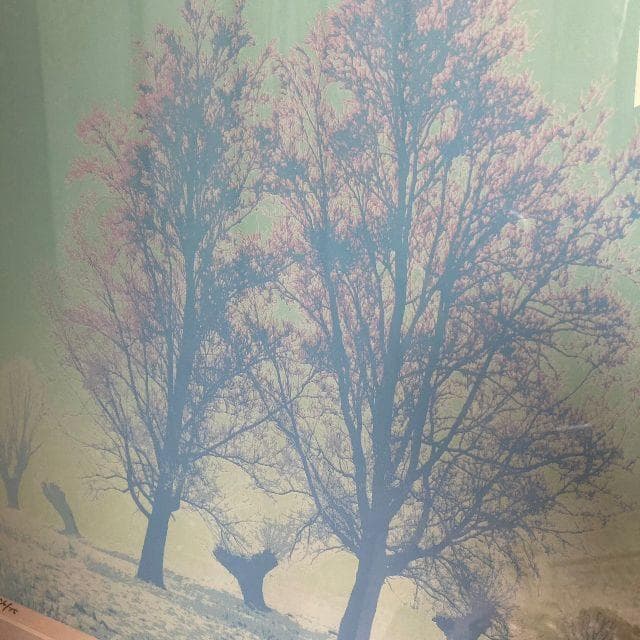 志村博 作*直筆サイン入り シルクスクリーン 版画 36/75限定*1980年代