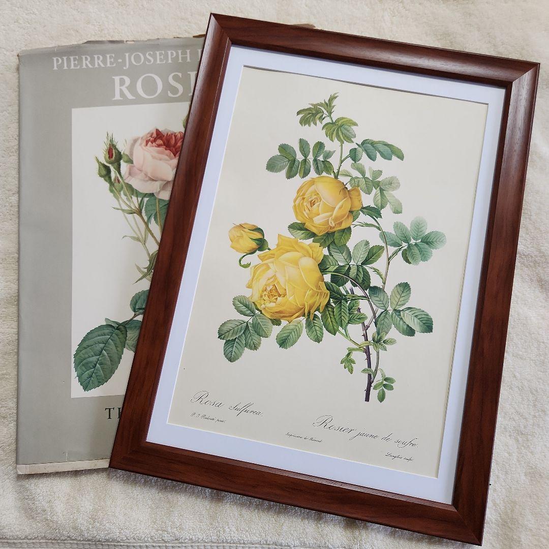 ルドゥーテ バラ ボタニカルアート 植物画 額 ヴィンテージ 9