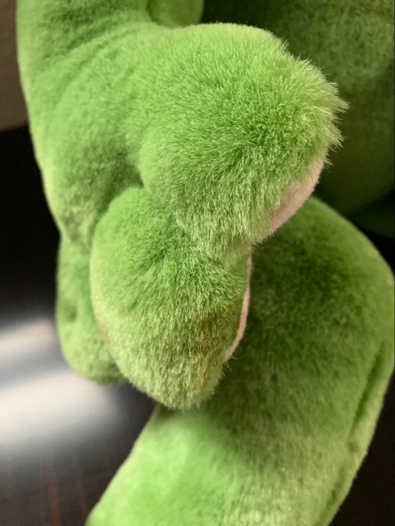 プレイトーキン　カエル　タグ付き