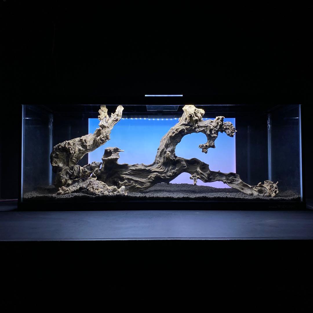 MJW-5758 「特大」ジンジャーウッド 90cm水槽用 天然流木3本セット