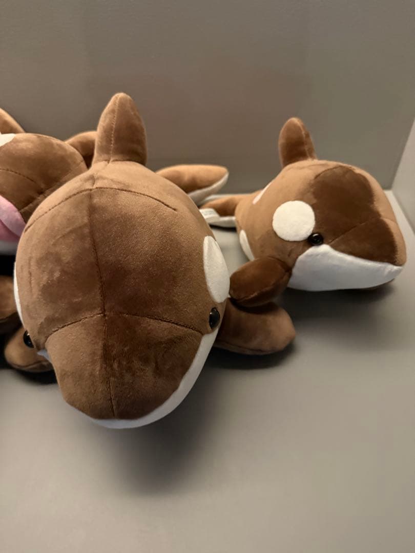 オルカくじ 新色 ショコラ・デュオ 3等 4等 4匹セット 須磨シー