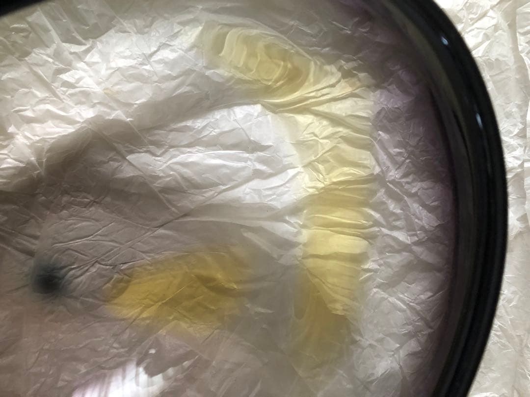 ☆レア物 新品未開封 益田芳徳氏作 硝子の水指 共箱入 【2026503988】