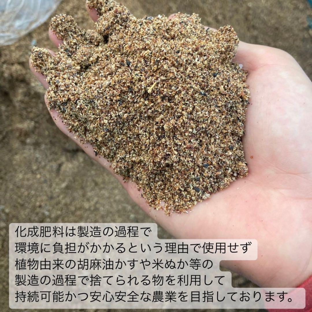 農薬不使用】日本茶8種類飲み比べセット各(3個入り×8