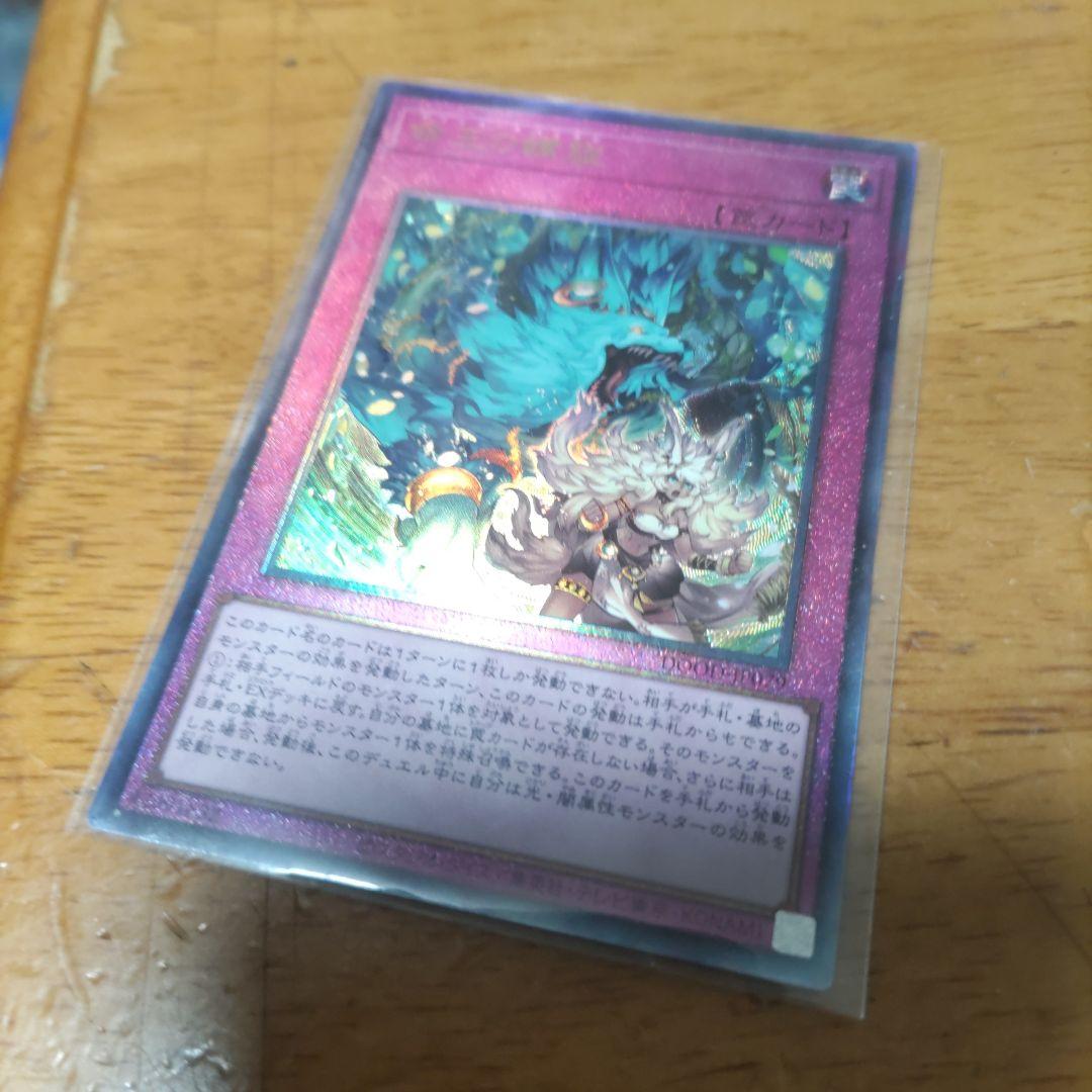 遊戯王 命王の螺旋 2種類