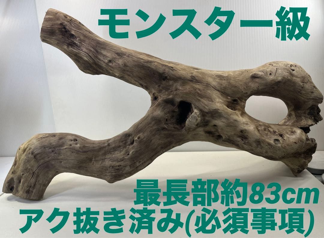 n42特大流木 大型流木 アク抜き済み 爬虫類シェルター レイアウト用 登り木